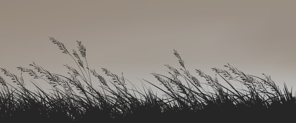 Grass in the field. A silhouette of meadow grass in black on a light background for your design. Vector illustration EPS 10