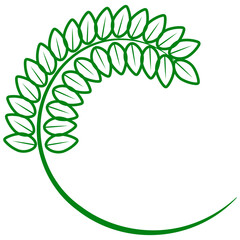 contour collection different green leaves of tree, plants, leaf and swirls branches. Stock vector icon, isolated white background. Element for ecographic, natural design, vegan logo, bio labels