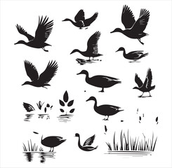 silhouette of a duck,bird, swan, animal, duck, goose, illustration, vector, silhouette, nature, cartoon, water, beak, icon, black, wild, lake, drawing, wildlife, birds, design, feather, love, art, sym