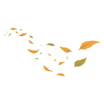 recommend clip art: Autumn Leaves Falling. Autumn leaves falling. Leaves air. Flying autumn leaves. Wave of falling leaves.Leaf fall. Autumn. Autumn falling leaves isolated on white background. Autumn maple and oak leave