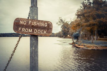 Fall forest and river scene
