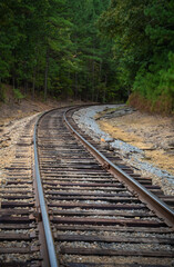 Fototapeta premium train tracks heading into a forest