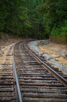 train tracks heading into a forest