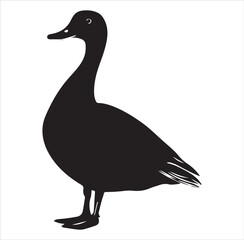 silhouette of a duck,bird, swan, animal, duck, goose, illustration, vector, silhouette, nature, cartoon, water, beak, icon, black, wild, lake, drawing, wildlife, birds, design, feather, love, art, sym