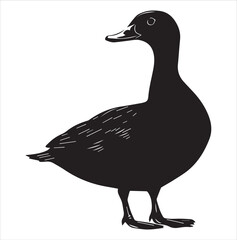 silhouette of a duck,bird, swan, animal, duck, goose, illustration, vector, silhouette, nature, cartoon, water, beak, icon, black, wild, lake, drawing, wildlife, birds, design, feather, love, art, sym