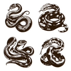 Obraz premium Snakes sketches set. Snake tattoo sketch drawing, python danger poisonous venomous viper reptile wildlife animal nature creature engraving vector illustration