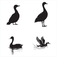silhouette of a duck,bird, swan, animal, duck, goose, illustration, vector, silhouette, nature, cartoon, water, beak, icon, black, wild, lake, drawing, wildlife, birds, design, feather, love, art, sym