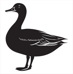 silhouette of a duck,bird, swan, animal, duck, goose, illustration, vector, silhouette, nature, cartoon, water, beak, icon, black, wild, lake, drawing, wildlife, birds, design, feather, love, art, sym