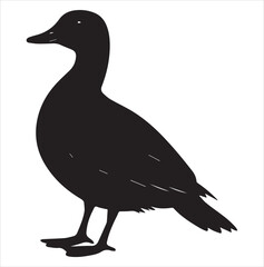 silhouette of a duck,bird, swan, animal, duck, goose, illustration, vector, silhouette, nature, cartoon, water, beak, icon, black, wild, lake, drawing, wildlife, birds, design, feather, love, art, sym