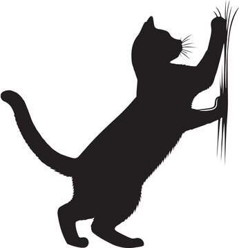 recommend clip art: Black cat scratching the wall silhouette design vector art illustration