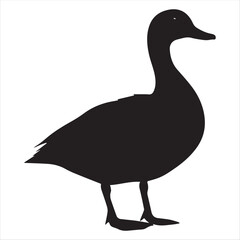 silhouette of a duck,bird, swan, animal, duck, goose, illustration, vector, silhouette, nature, cartoon, water, beak, icon, black, wild, lake, drawing, wildlife, birds, design, feather, love, art, sym