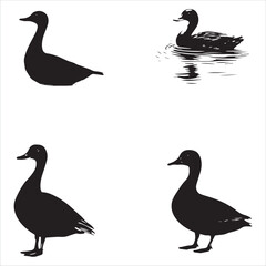 silhouette of a duck,bird, swan, animal, duck, goose, illustration, vector, silhouette, nature, cartoon, water, beak, icon, black, wild, lake, drawing, wildlife, birds, design, feather, love, art, sym