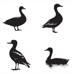 silhouette of a duck,bird, swan, animal, duck, goose, illustration, vector, silhouette, nature, cartoon, water, beak, icon, black, wild, lake, drawing, wildlife, birds, design, feather, love, art, sym