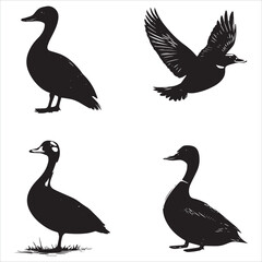 silhouette of a duck,bird, swan, animal, duck, goose, illustration, vector, silhouette, nature, cartoon, water, beak, icon, black, wild, lake, drawing, wildlife, birds, design, feather, love, art, sym