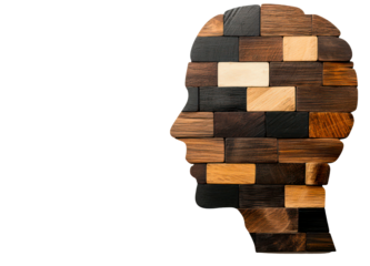 Human profile silhouette made of wood blocks isolate on transparent background, png, cutout