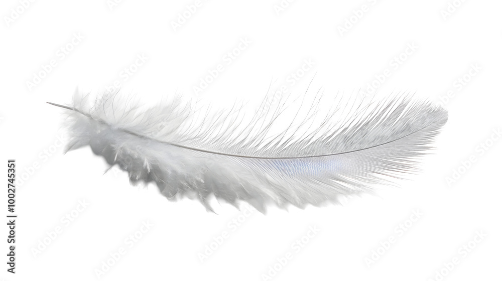 Aufkleber closeup of a soft,white feather floating in a simple,minimalist natural studio backdrop. the feather
