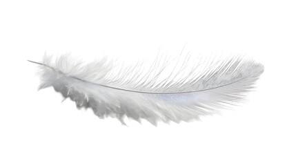 Obraz premium Closeup of a soft,white feather floating in a simple,minimalist natural studio backdrop. The feather appears ethereal,serene and calming against the clean,airy background.