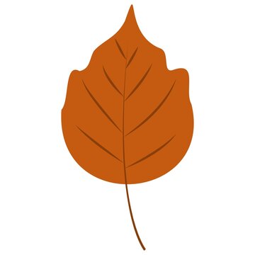 recommend clip art: Autumn Leaves. Set of autumn leaves from different trees, oak, maple, chestnut. Simple, yellow, red, orange fall leaf set for pattern, banner, sticker, Hello autumn card. Flat vector illustration on w