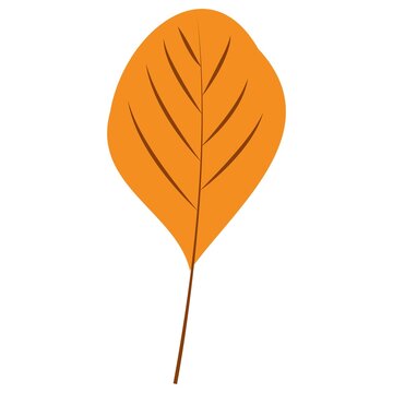 recommend clip art: Autumn Leaves. Set of autumn leaves from different trees, oak, maple, chestnut. Simple, yellow, red, orange fall leaf set for pattern, banner, sticker, Hello autumn card. Flat vector illustration on w