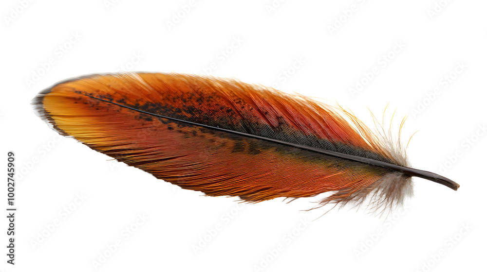 Aufkleber closeup of a vibrant orange and brown feather with a gradient color pattern and intricate textural d