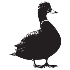 silhouette of a duck,bird, swan, animal, duck, goose, illustration, vector, silhouette, nature, cartoon, water, beak, icon, black, wild, lake, drawing, wildlife, birds, design, feather, love, art, sym
