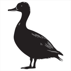 silhouette of a duck,bird, swan, animal, duck, goose, illustration, vector, silhouette, nature, cartoon, water, beak, icon, black, wild, lake, drawing, wildlife, birds, design, feather, love, art, sym