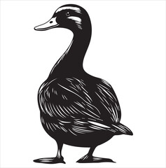 silhouette of a duck,bird, swan, animal, duck, goose, illustration, vector, silhouette, nature, cartoon, water, beak, icon, black, wild, lake, drawing, wildlife, birds, design, feather, love, art, sym