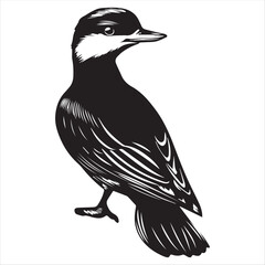 silhouette of a duck,bird, swan, animal, duck, goose, illustration, vector, silhouette, nature, cartoon, water, beak, icon, black, wild, lake, drawing, wildlife, birds, design, feather, love, art, sym