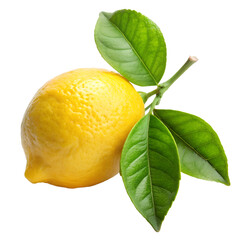 lemon and leaf stems isolate on transparency background