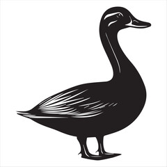 silhouette of a duck,bird, swan, animal, duck, goose, illustration, vector, silhouette, nature, cartoon, water, beak, icon, black, wild, lake, drawing, wildlife, birds, design, feather, love, art, sym