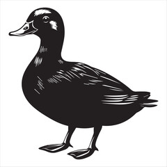 silhouette of a duck,bird, swan, animal, duck, goose, illustration, vector, silhouette, nature, cartoon, water, beak, icon, black, wild, lake, drawing, wildlife, birds, design, feather, love, art, sym