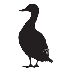 silhouette of a duck,bird, swan, animal, duck, goose, illustration, vector, silhouette, nature, cartoon, water, beak, icon, black, wild, lake, drawing, wildlife, birds, design, feather, love, art, sym