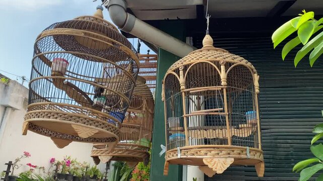 4k footage of Javanese turtle doves in cages and hanging from roofs.