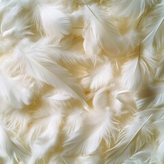 A bunch of white feathers on a white background