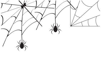 Halloween party background with spider hanging from spiderwebs isolated on black  texture, blank space for text, element template for poster, brochures,online advertising, isolated on white background