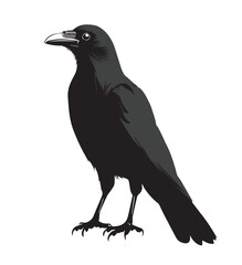 silhouettes of birds, bird, silhouette, animal, nature, illustration, vector, birds, crow, black, isolated, beak, bullfinch, branch, wildlife, white, wing, raven, feather, winter, cartoon, art, fly, 