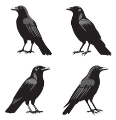 silhouettes of birds, bird, silhouette, animal, nature, illustration, vector, birds, crow, black, isolated, beak, bullfinch, branch, wildlife, white, wing, raven, feather, winter, cartoon, art, fly, 