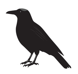 silhouettes of birds, bird, silhouette, animal, nature, illustration, vector, birds, crow, black, isolated, beak, bullfinch, branch, wildlife, white, wing, raven, feather, winter, cartoon, art, fly, 