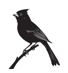 silhouettes of birds, bird, silhouette, animal, nature, illustration, vector, birds, crow, black, isolated, beak, bullfinch, branch, wildlife, white, wing, raven, feather, winter, cartoon, art, fly, 