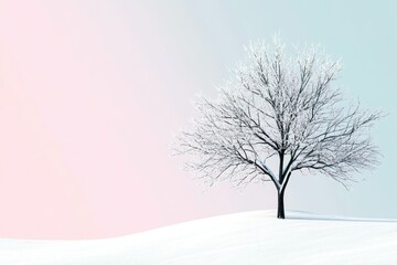 Fototapeta premium Minimalist Winter Landscape with Snow-Covered Tree