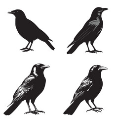 silhouettes of birds, bird, silhouette, animal, nature, illustration, vector, birds, crow, black, isolated, beak, bullfinch, branch, wildlife, white, wing, raven, feather, winter, cartoon, art, fly, 