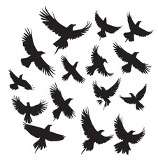 silhouettes of birds, bird, silhouette, animal, nature, illustration, vector, birds, crow, black, isolated, beak, bullfinch, branch, wildlife, white, wing, raven, feather, winter, cartoon, art, fly, 