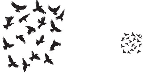 silhouettes of birds, bird, silhouette, animal, nature, illustration, vector, birds, crow, black, isolated, beak, bullfinch, branch, wildlife, white, wing, raven, feather, winter, cartoon, art, fly, 