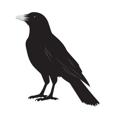 silhouettes of birds, bird, silhouette, animal, nature, illustration, vector, birds, crow, black, isolated, beak, bullfinch, branch, wildlife, white, wing, raven, feather, winter, cartoon, art, fly, 
