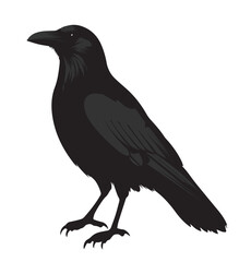 silhouettes of birds, bird, silhouette, animal, nature, illustration, vector, birds, crow, black, isolated, beak, bullfinch, branch, wildlife, white, wing, raven, feather, winter, cartoon, art, fly, 