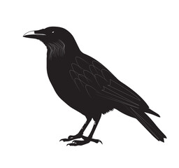 silhouettes of birds, bird, silhouette, animal, nature, illustration, vector, birds, crow, black, isolated, beak, bullfinch, branch, wildlife, white, wing, raven, feather, winter, cartoon, art, fly, 
