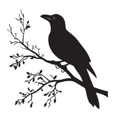 silhouettes of birds, bird, silhouette, animal, nature, illustration, vector, birds, crow, black, isolated, beak, bullfinch, branch, wildlife, white, wing, raven, feather, winter, cartoon, art, fly, 