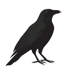 silhouettes of birds, bird, silhouette, animal, nature, illustration, vector, birds, crow, black, isolated, beak, bullfinch, branch, wildlife, white, wing, raven, feather, winter, cartoon, art, fly, 