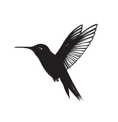 silhouettes of birds, bird, silhouette, animal, nature, illustration, vector, birds, crow, black, isolated, beak, bullfinch, branch, wildlife, white, wing, raven, feather, winter, cartoon, art, fly, 