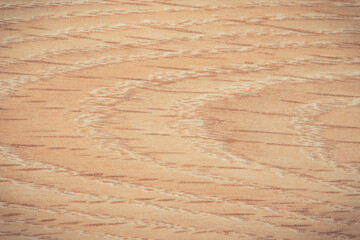 Wooden board or plank as background texture. Copy space for text